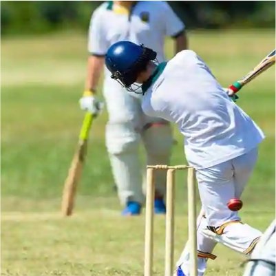 Cricket Tournament