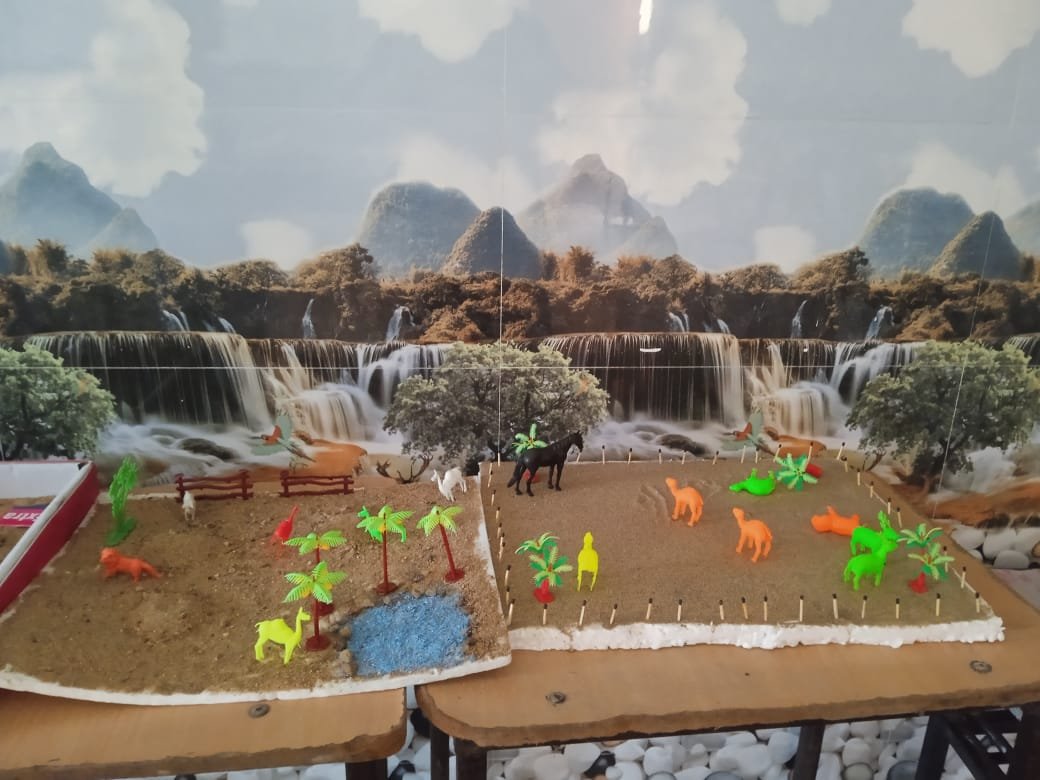 Project Work on Desert Ecosystems